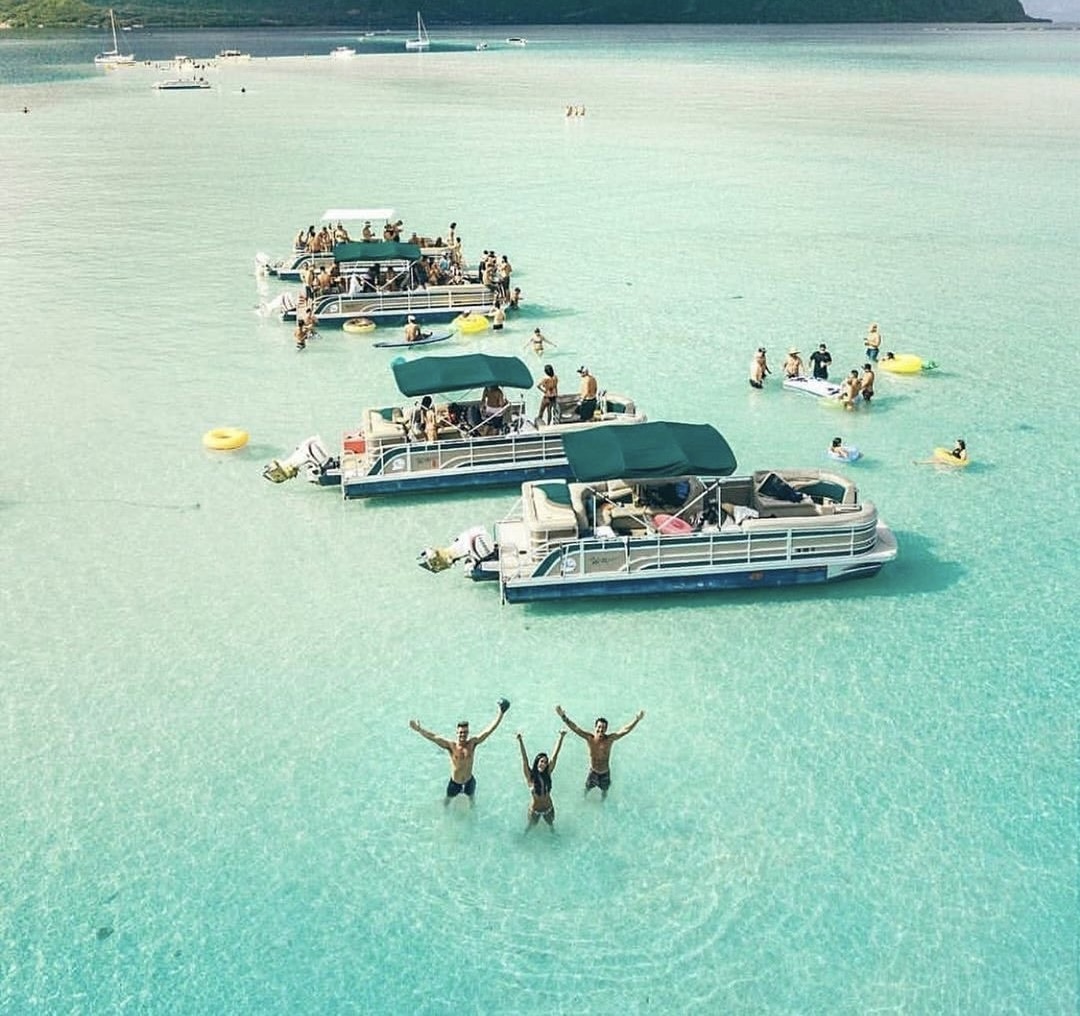Dolphin & Sandbar Tour