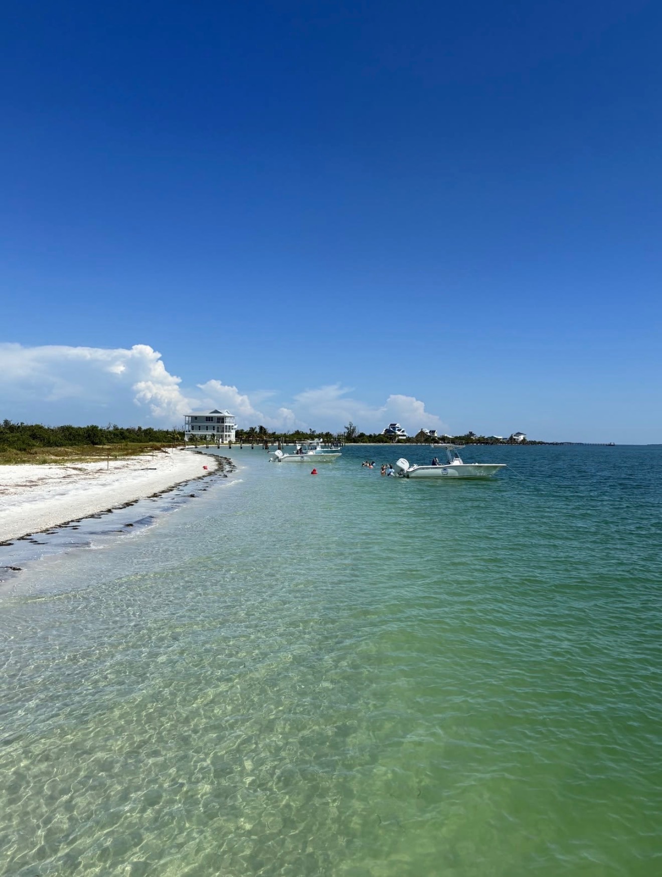 Dolphin & Sandbar Tour