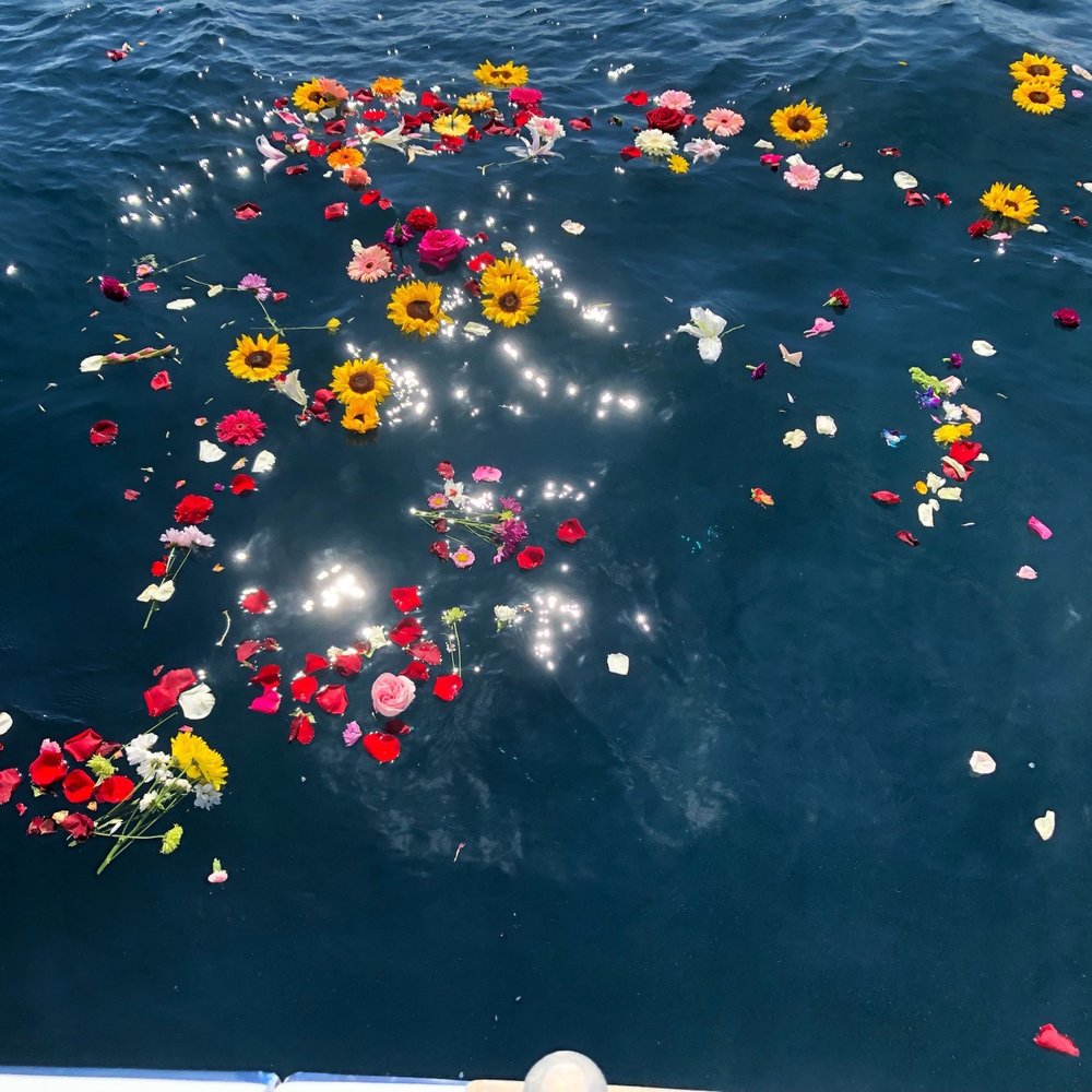 Memorial Cruise
